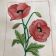 Poppies free machine embroidery design
