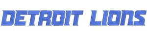 Detroit Lions Wordmark Logo 2017 embroidery design