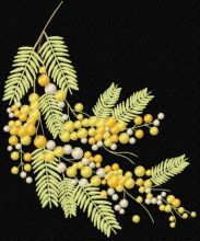 Acacia dealbata branch embroidery design