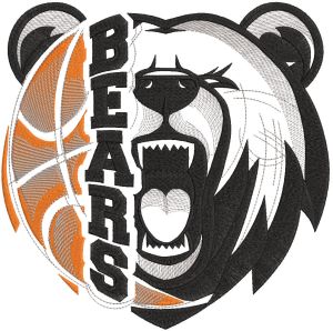 Bears American Football embroidery design