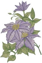 Clematis minister bouquet embroidery design
