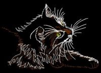 Curious cat embroidery design