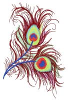 Gorgeous feather embroidery design