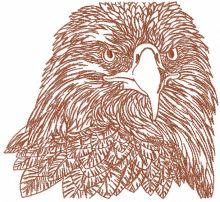 Eagle head sketch embroidery design