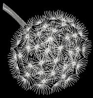 Dandelion embroidery design