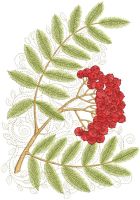 Ripe mountain ash embroidery design