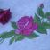 Mega rose design embroidered
