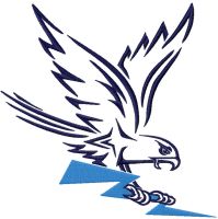 Air Force Falcons Secondary Logo 2022 embroidery design