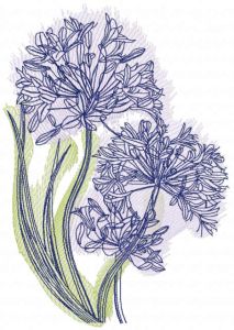 Centaurea cyanus sketch embroidery design
