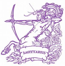 Zodiac sign Sagittarius 6