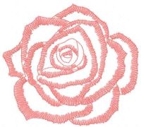 Pink sketch rose free embroidery design