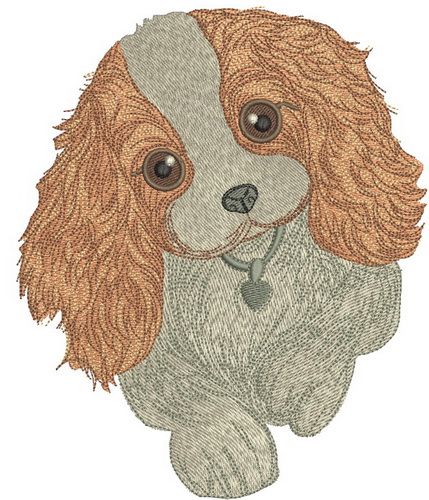 Adorable Cocker Spaniel puppy machine embroidery design