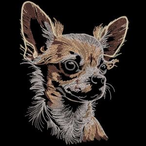 Chihuahua black background embroidery design