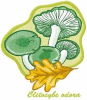 Clitocybe odora embroidery design