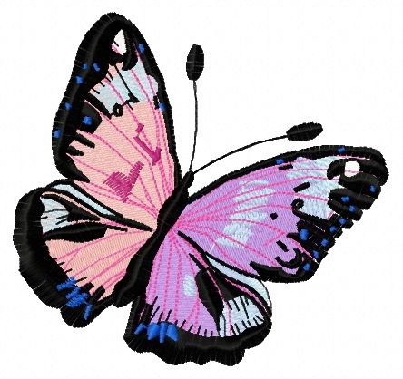 Bicolor butterfly machine embroidery design      