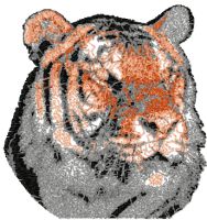 Tiger color photo stitch free machine embroidery design