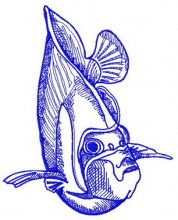 Tropical fish 2 embroidery design