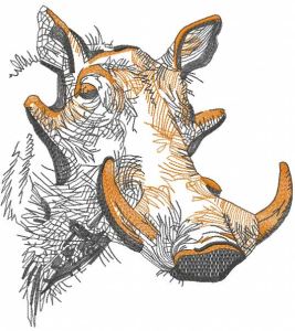 Rhino sketch 2
