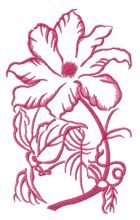 Clematis sketch embroidery design
