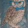Polar owl in glasses design embroidered