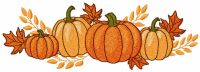 Four fall pumpkins embroidery design