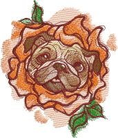 Rose costume for pug-dog embroidery design