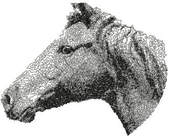 Horse free photo machine embroidery design