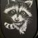 In-hoop Raccoon at night embroidery design