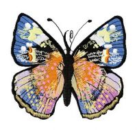 Gorgeous butterfly 3 embroidery design