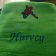 Green fleece embroidered blanket with Spiderman rushes to rescue design on it