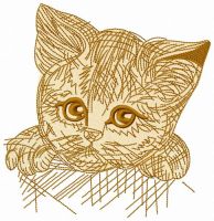 Kitten in a box 3 embroidery design