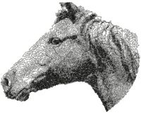 Horse machine embroidery design