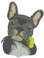 French bulldog with dandelion embroidery design