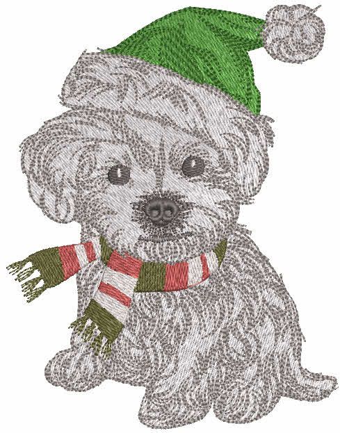 Ready for winter walk embroidery design