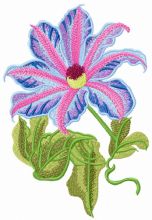 Clematis flower embroidery design