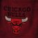 Embroidered Chicago Bulls logo on towel