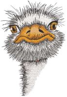 Baby Ostrich embroidery design