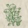 Wild ivy design embroidered