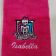 Embroidered towel with Monster High logo