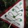 Christmas tree embroidered designs