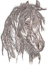Horse head pencil sketch