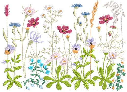Forbs of the summer meadow embroidery design