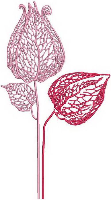 Physalis  machine embroidery design