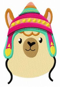 Alpaca with colorful hat