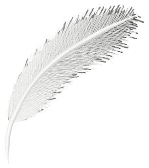 Feather free machine embroidery design