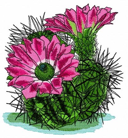 Mammillaria machine embroidery design