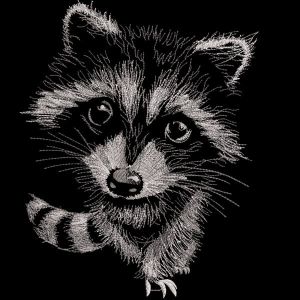 Raccoon at night embroidery design