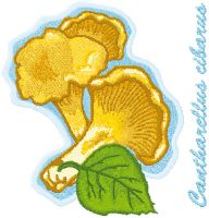 Cantharellus Cibarius embroidery design