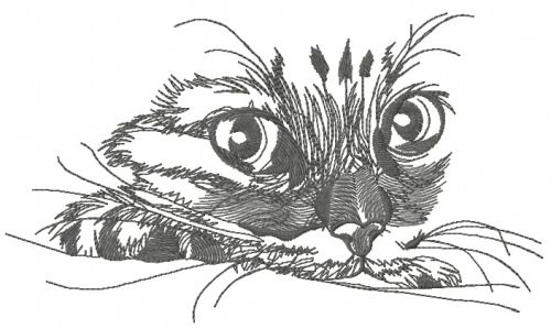 Curious cat 5 machine embroidery design