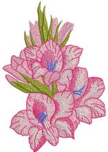 Bouquet of pink gladioluses embroidery design